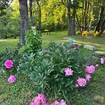 паздерите * Apriltsi (Lovech)