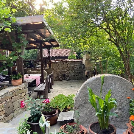 паздерите Nyaraló