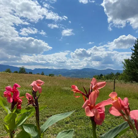 паздерите *