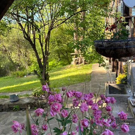 Nyaraló паздерите