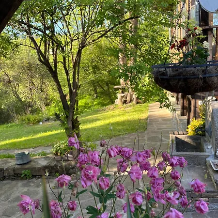Vakantiehuis паздерите