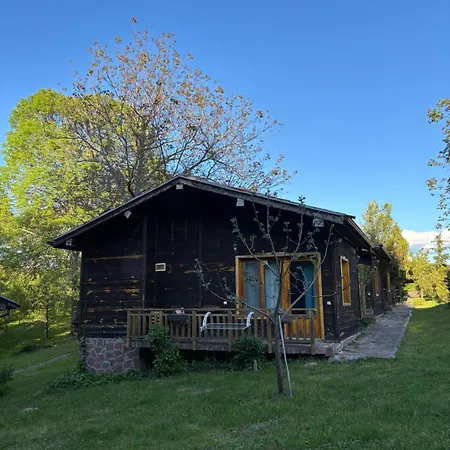 паздерите *