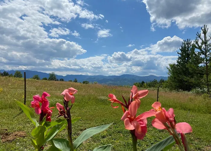 паздерите *