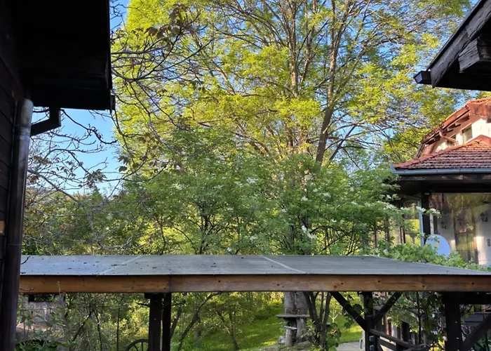 паздерите Semesterbostad