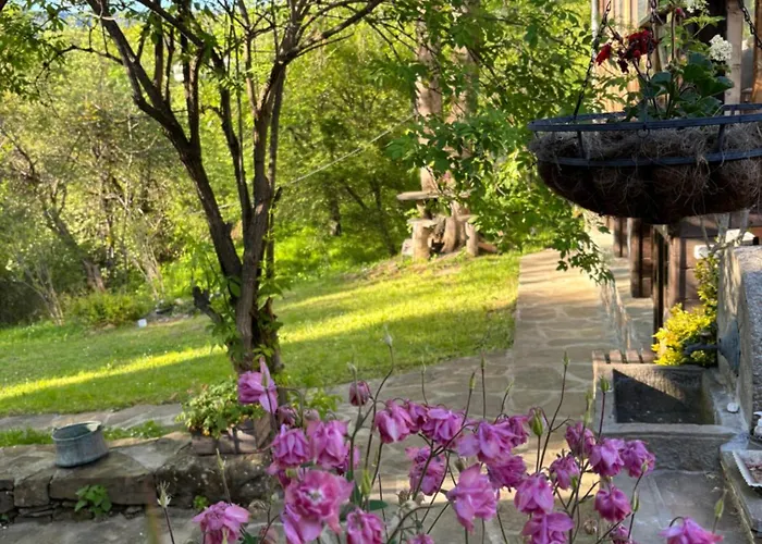 度假居 паздерите