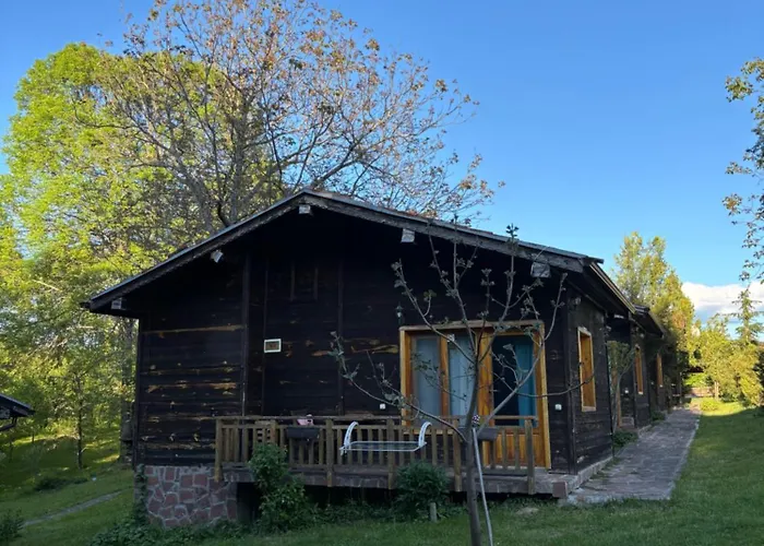 паздерите *