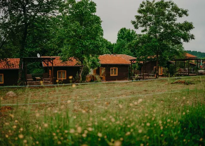 паздерите * Apriltsi (Lovech)